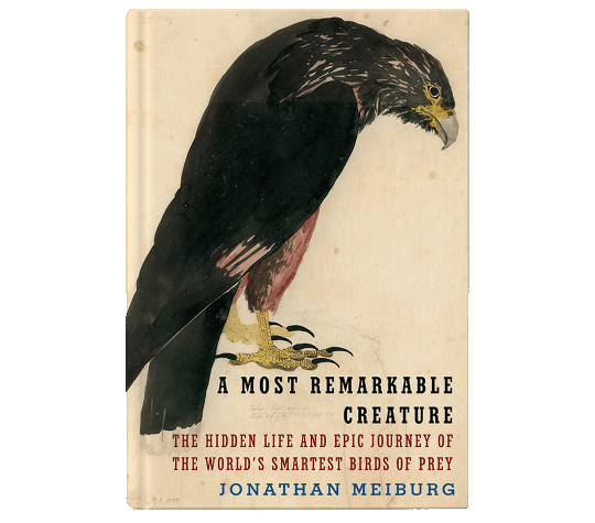 A Most Remarkable Creature bookcover